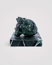 Load image into Gallery viewer, CAPO TERRA